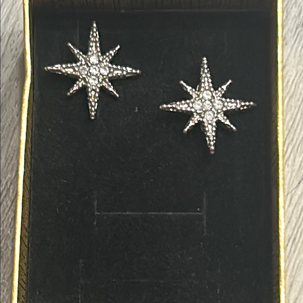 Lane Bryant Silver Star Studded Earrings